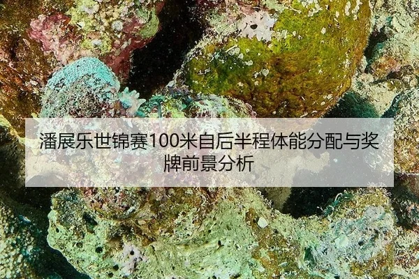 pan-zhan-le-shi-jin-sai-mi-zi-hou-ban-cheng-ti-neng-fen-pei-yu-jiang-pai-qian-jing-fen-xi-3-472.jpg