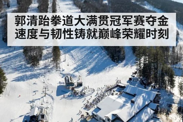 郭清跆拳道大满贯冠军赛夺金 速度与韧性铸就巅峰荣耀时刻